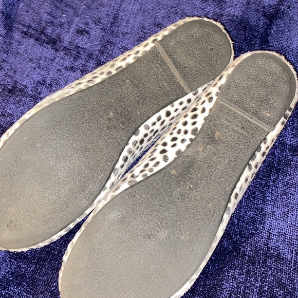 Flats - Picture 4 of 5